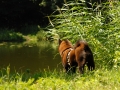 16b-DSC_2154