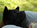 16b-DSC_2564