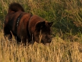 16b-DSC_7359
