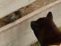 16-DSC_9292