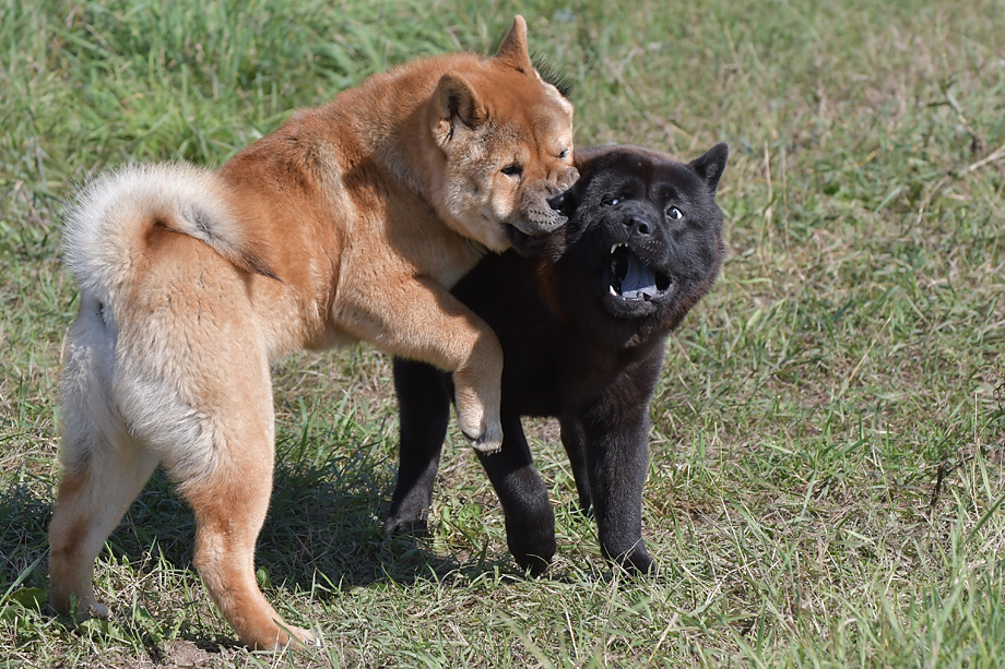 Motsi_Fiete_17_07-500-DSC_4820