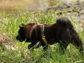 17_04-DSC_0775