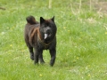 17_04-DSC_0869