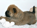 blog_1