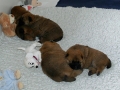 blog_10
