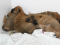 blog_11