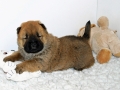 blog_3