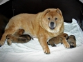 blog_5