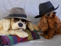 Blues_Brothers_2017