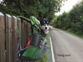 Hang_over_2017