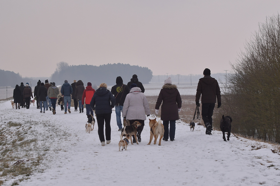 ein_hundeblog_DSC_9910