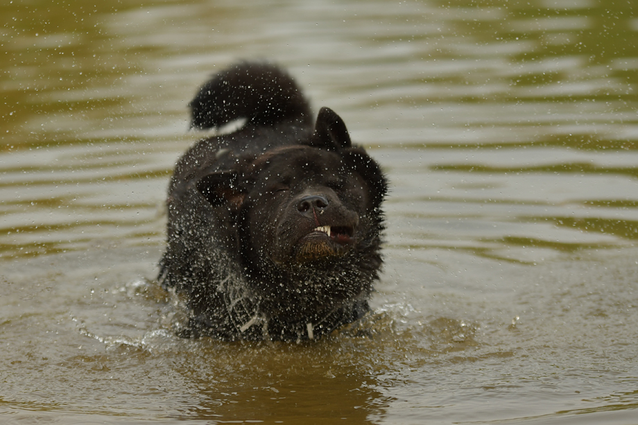 Norma_van_Juttersburch-DSC_2213