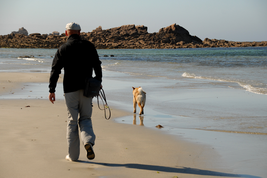 Chow_und_Meer_DSC_3597
