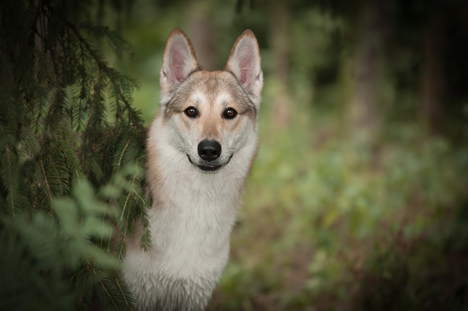 Foto_Workshop_Tanja_Brandt-DSC_7442