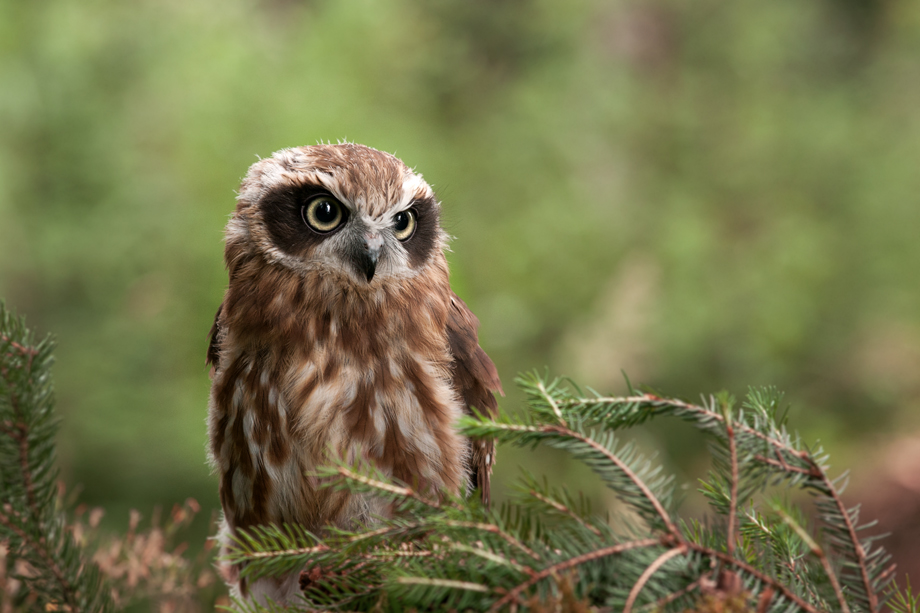 Foto_Workshop_Tanja_Brandt_DSC_7521