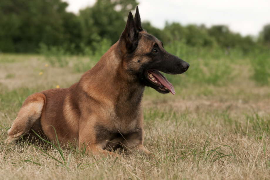 Foto_Workshop_Tanja_Brandt_DSC_8242