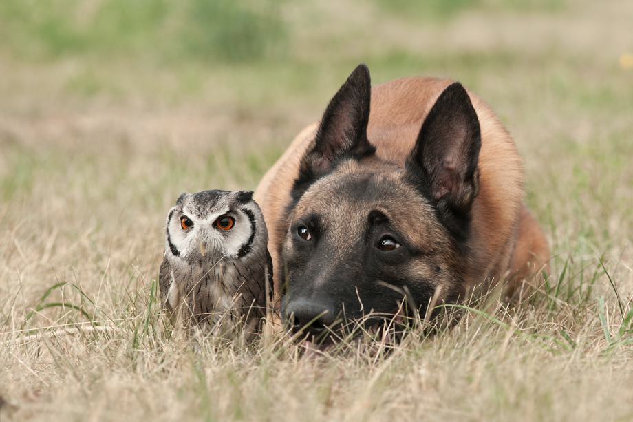 Foto_Workshop_Tanja_Brandt_DSC_8310