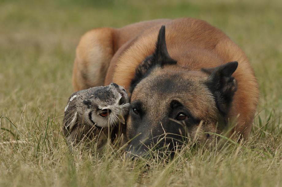 Foto_Workshop_Tanja_Brandt_DSC_8312