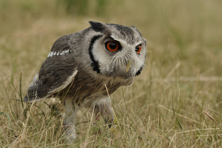 Foto_Workshop_Tanja_Brandt_DSC_8330