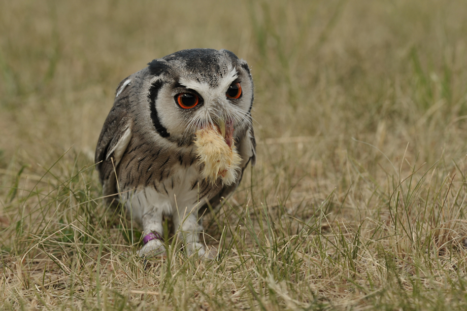 Foto_Workshop_Tanja_Brandt_DSC_8356