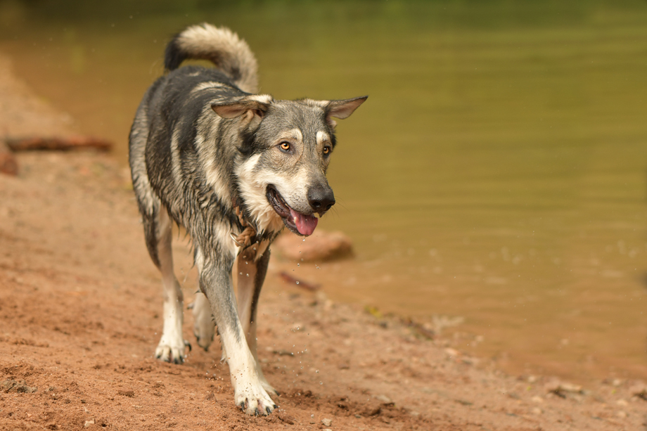 Work_Shop_mit_Tanja_Brandt_DSC_4673