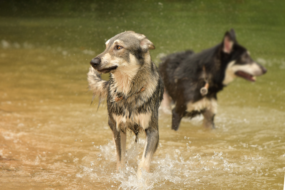 Work_Shop_mit_Tanja_Brandt_DSC_4761