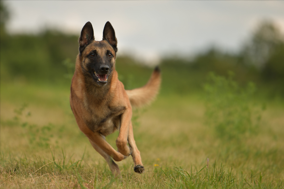 Work_Shop_mit_Tanja_Brandt_DSC_5088