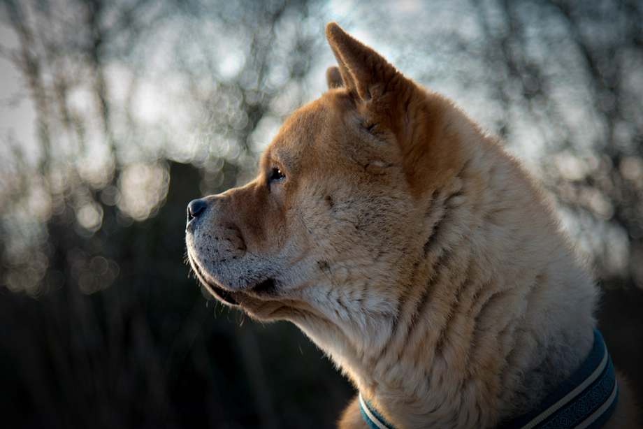 Fiete_van_Juttersburch_DSC_1962