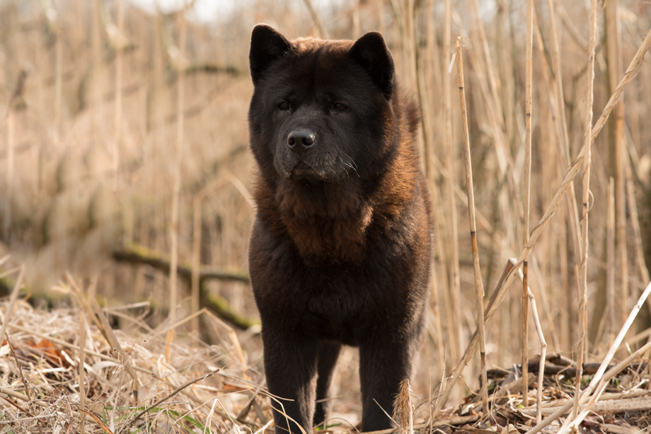Motsi_van_Juttersburch_DSC_2129