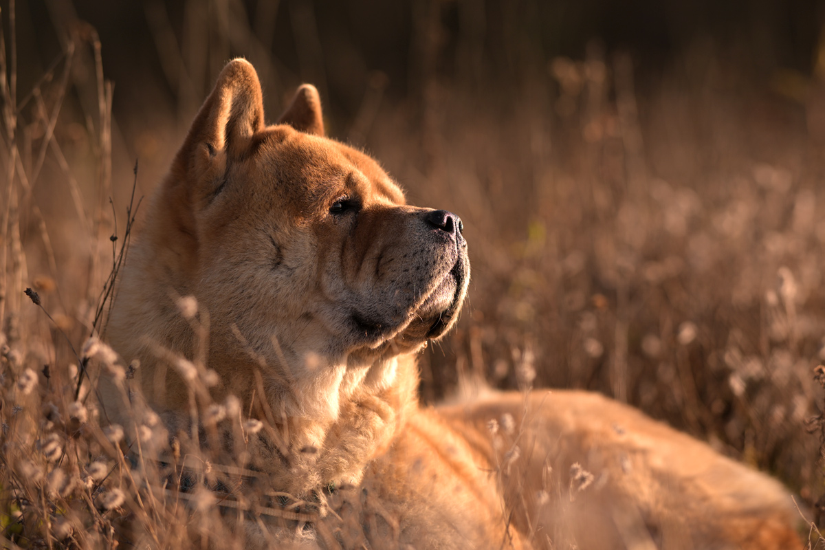 Fiete_van_Juttersburch_DSC_1754