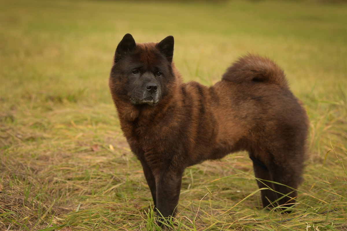 Motsi_van_Juttersburch_DSC_4049