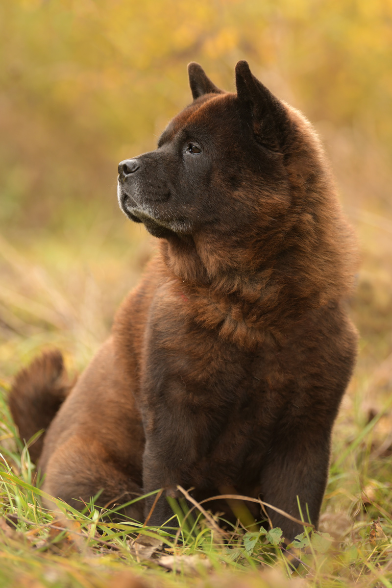 Motsi_van_Juttersburch_DSC_4093