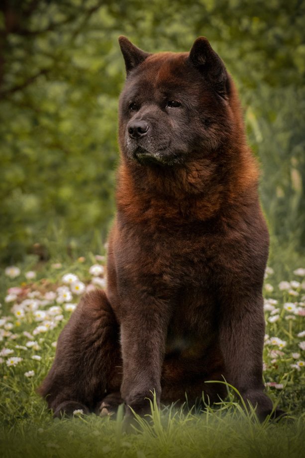 Motsi_van_Juttersburch_DSC2606
