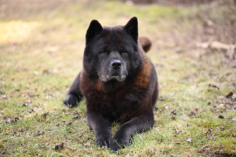 Motsi_van_Juttersburch_DSC_0653