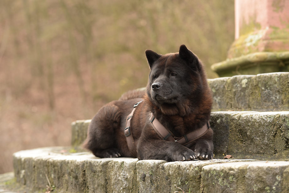 Motsi_van_Juttersburch_DSC_1758