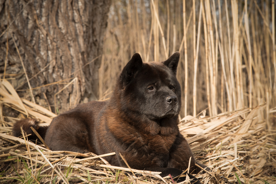 Motsi_van_Juttersburch_DSC_2157