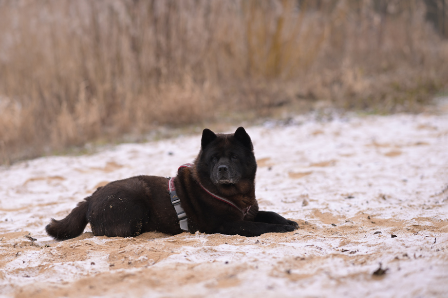Motsi_van_Juttersburch_DSC_2460