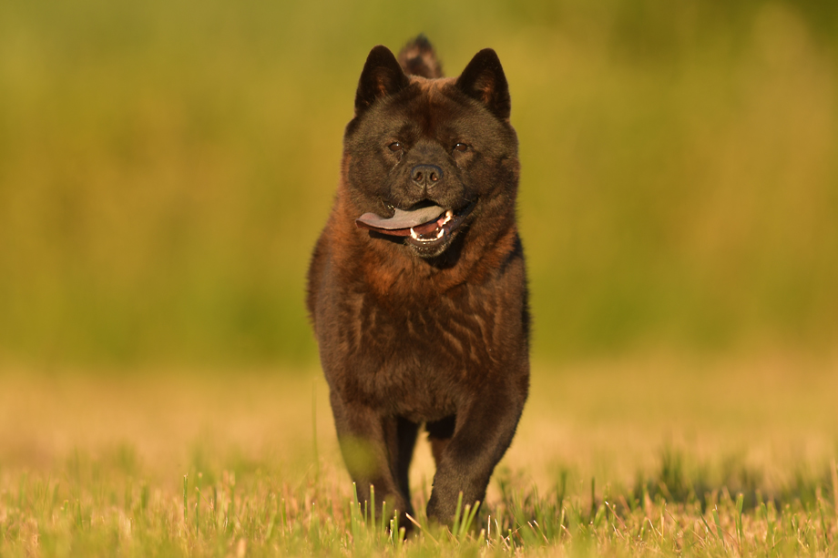 Motsi_van_Juttersburch_DSC_4253