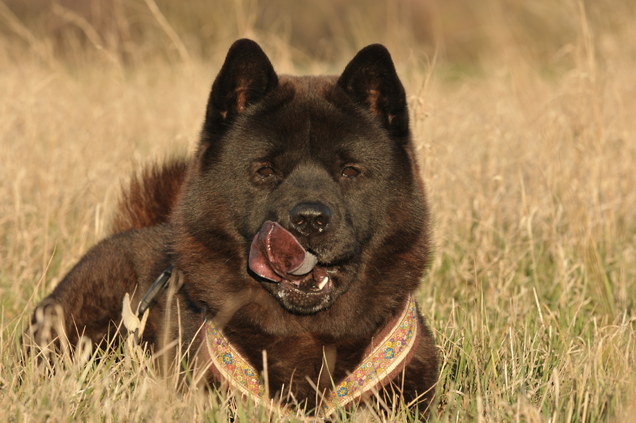 Motsi_van_Juttersburch_DSC_5517