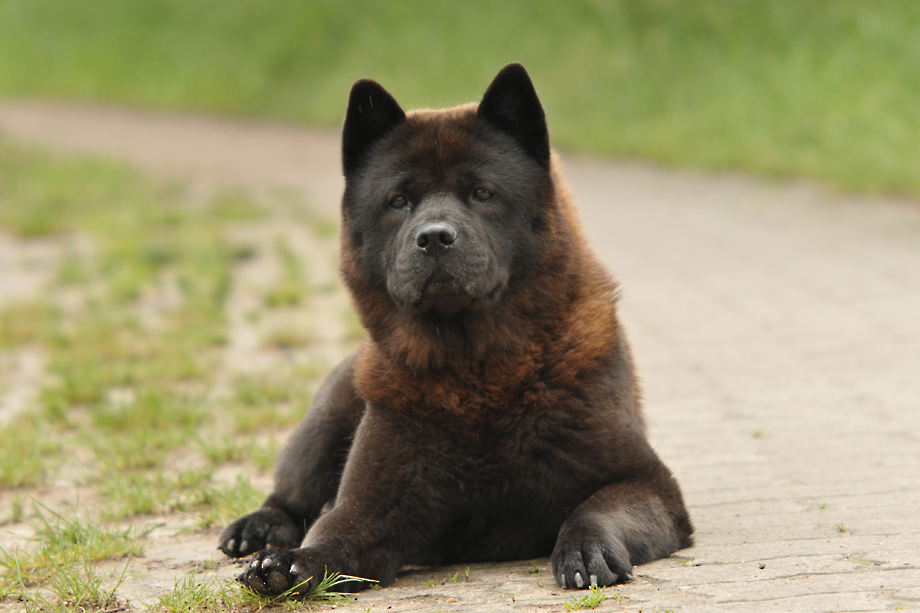 Motsi_van_Juttersburch_DSC_6032