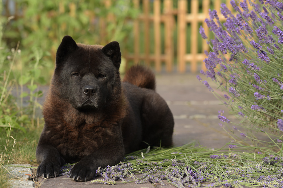 Motsi_van_Juttersburch_DSC_6256
