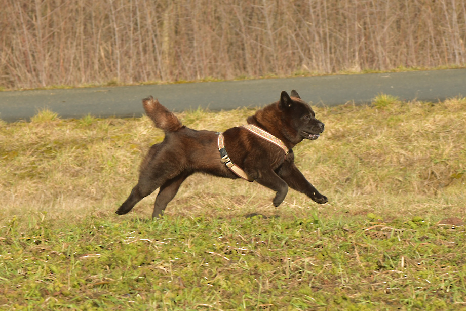 Motsi_van_Juttersburch_DSC_8893