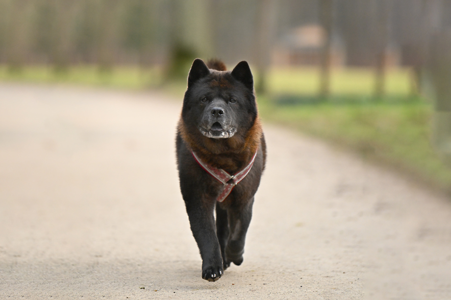 Motsi_van_Juttersburch_DSC_9918