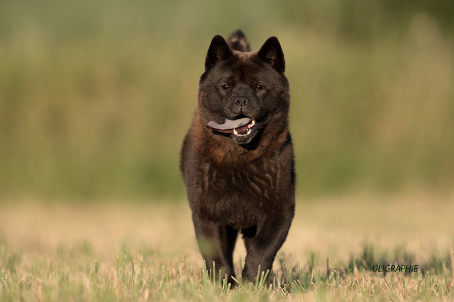 Motsi_van_Juttersburch_Motsi_DSC_4253
