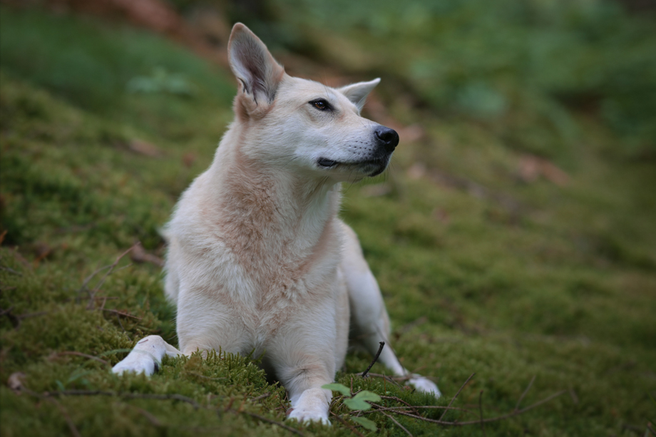 Tanja_Brandt_DSC_5804