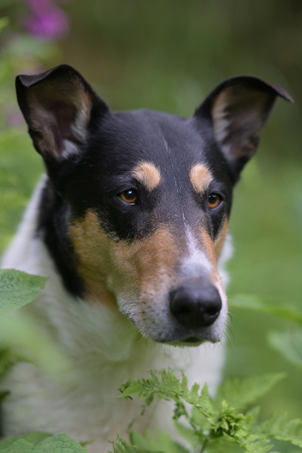 Tanja_Brandt_DSC_5926_b