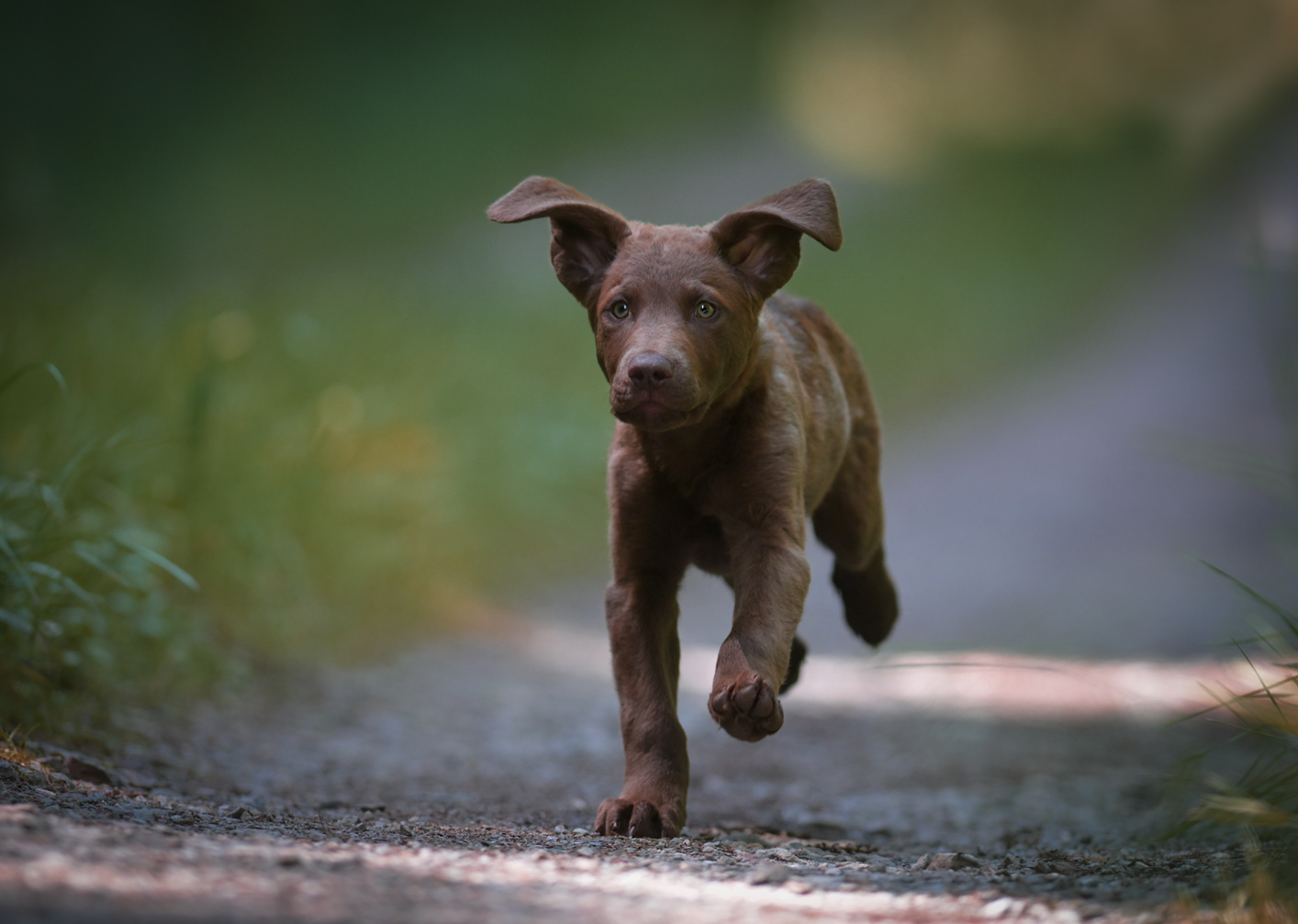 Tanja_Brandt_DSC_6205