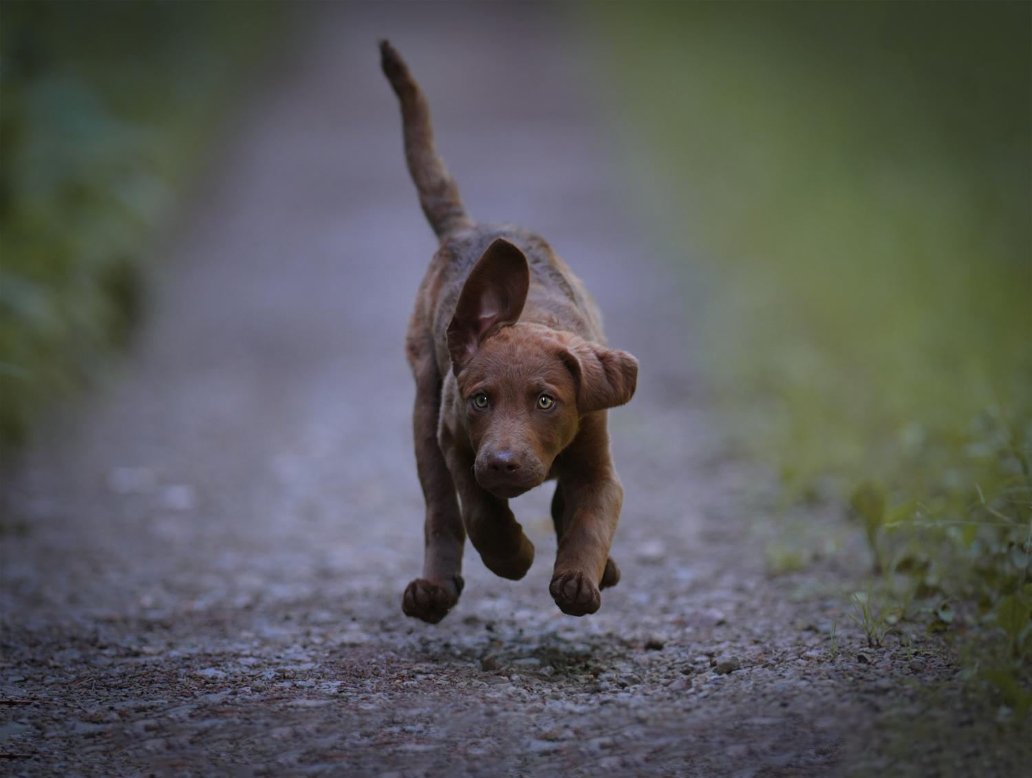 Tanja_Brandt_DSC_6257