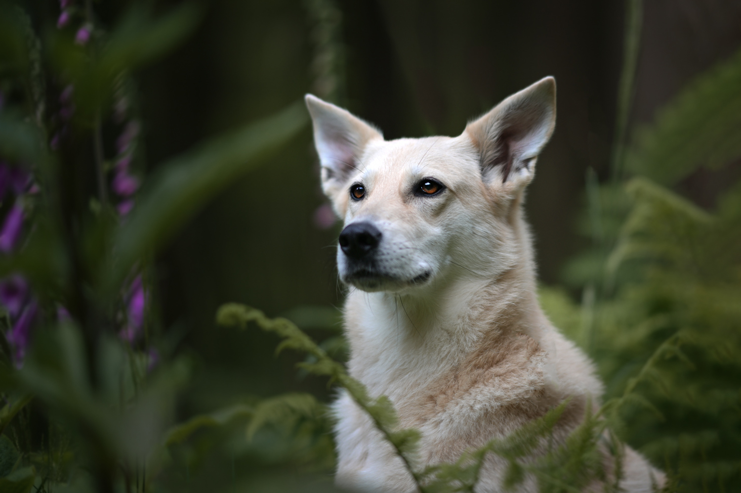 Tanja_Brandt_WS_DSC_5997
