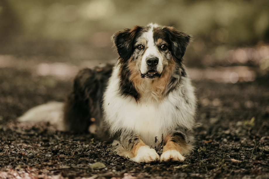 Tanja_Brandt__DSC_5522_1